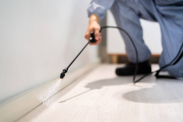 Licensed Termite Control service in Spiro, OK - Nex Pest Control