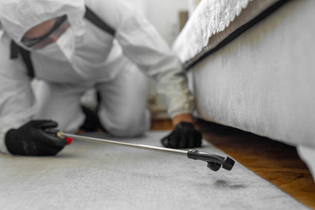 Professional Termite Control technician working in Spiro, OK