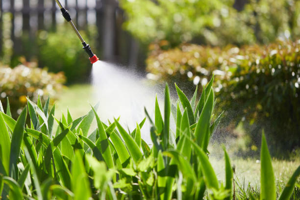 24/7 Emergency Termite Control experts in Spiro, OK