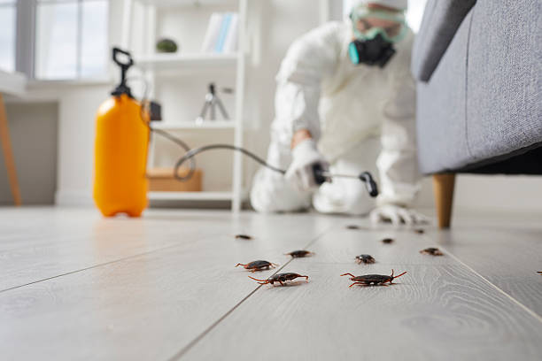 Affordable Termite Control solutions in Spiro, OK