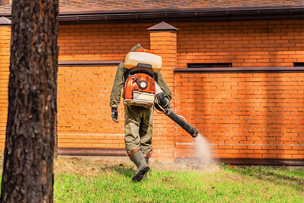 Top rated local Termite Control specialists in Spiro, OK